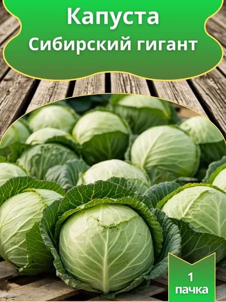 Семена Капусты б/к "Сибирский Гигант",1 пачка