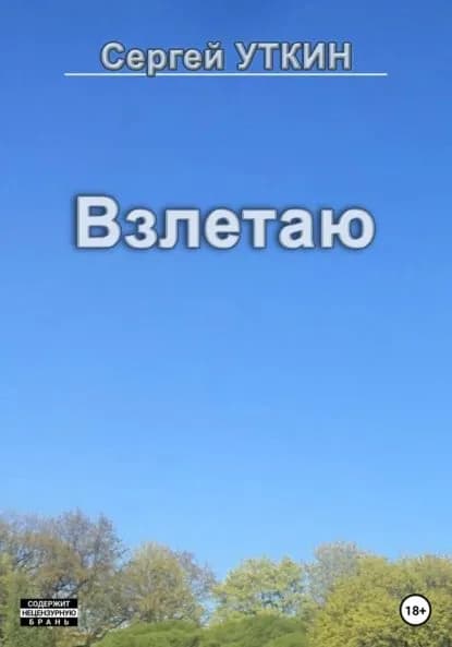 Взлетаю | Уткин Сергей Валерьевич | Электронная книга