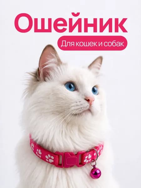 Ошейник с колокольчиком для кошек, котят, собак мелких пород и кроликов