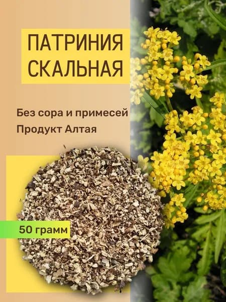 Патриния скальная Безразличка корень