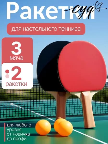 Набор для настольного тенниса, состав комплекта: 2 ракетки, 3 мяча
