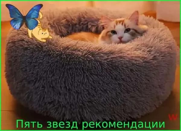 Палатка для животных