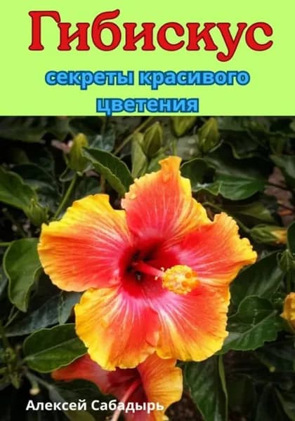 Гибискус секреты красивого цветения | Сабадырь Алексей | Электронная книга