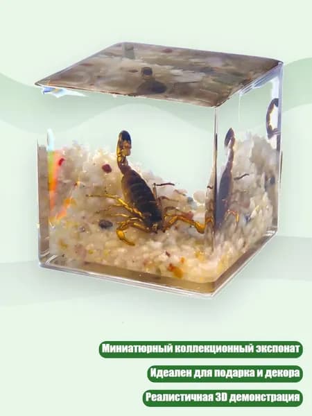 Уникальный миниатюрный блок с насекомыми для коллекционеров, 5CM - Золотой скорпион