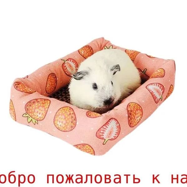 Коврик из ротанга "гнездышко морской свинки", клубничный, L
