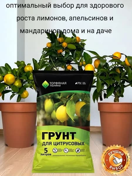 Торфяная поляна Грунт