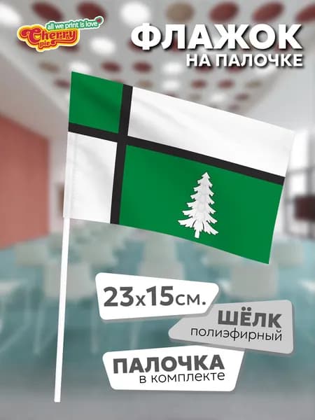 Флаг 23x15 на палочке Тайшет (Иркутская область)