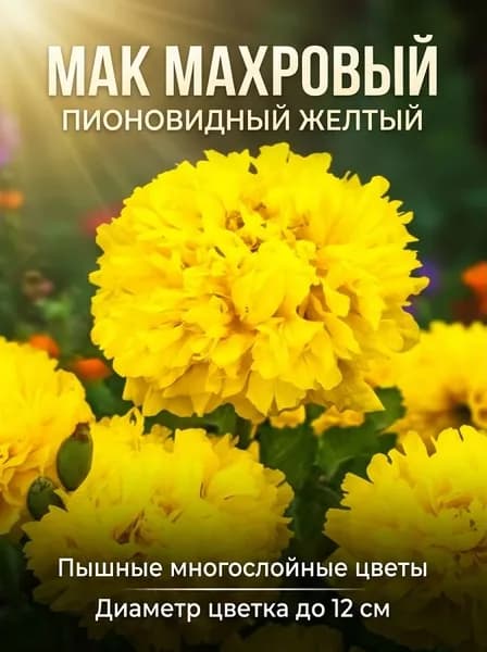 Мак махровый пионовидный Желтый (семена Цветущий Сад), 0,05 г