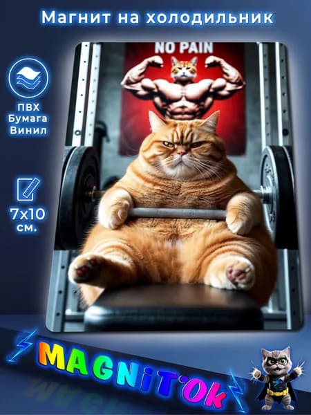 Магнит на холодильник, Кот в спортзале