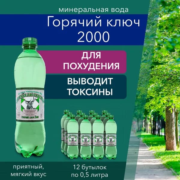 Вода питьевая газированная Горячий Ключ 2000, минеральная вода с газом 0,5 л.,12 шт.