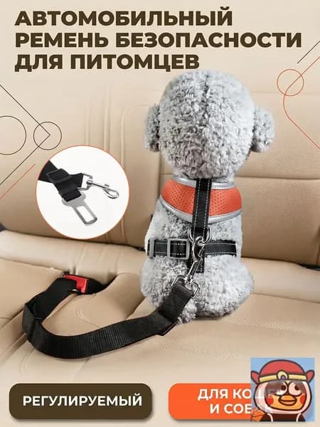 Ремень безопасности для собак в машину