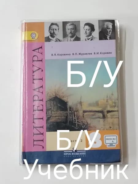 учебник литература 8 класс 2 часть. программа 13-18 год