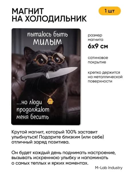 Магнит прикол для друзей, коллеги и близких в подарок, мотивация, юмор, 1шт, 6х9см