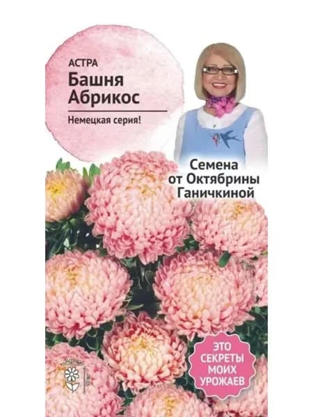 Семена Астра Башня абрикос Октябрины Ганичкиной