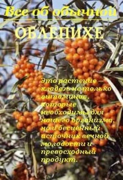 Все об обычной облепихе | Дубровин Иван Ильич | Электронная книга