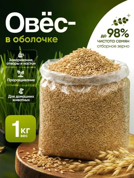 Овёс для микразелини и проращевани.