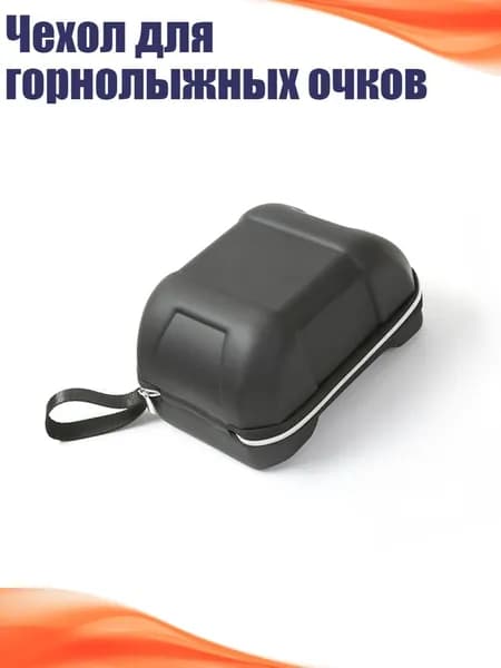 Чехол для горнолыжных очков