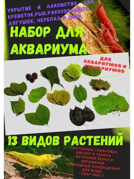 Набор растений Mix -13 Амбровые шишки шелковица корм