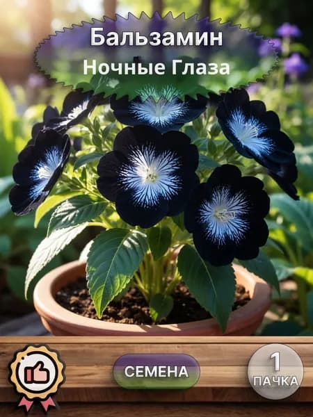 Бальзамин Ночные глаза, семена, 10 шт.
