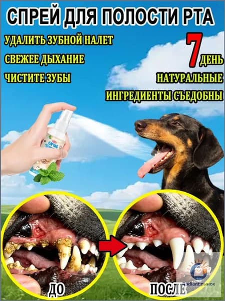 Спрей для полости рта для кошек и собак.Удаляет бактерии с зубного налета, освежает дыхание, удаляет зубной камень, а натуральные ингредиенты съедобны.30 мл