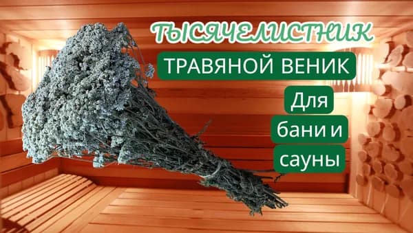 Веник для бани Тысячелистниковый, 1 шт.