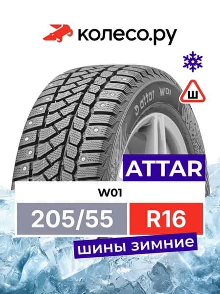 Шины зимние R16 R205 55 91 T W01