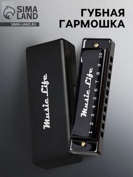 Губная гармошка диатоническая, C-major, с футляром, черная