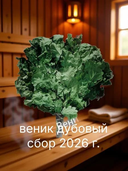 Веник для бани Дубовый, 1 шт.