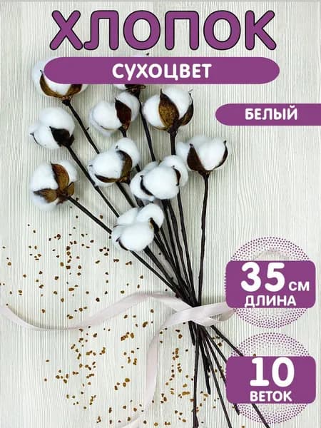 ГарантБИК Сухоцветы Хлопок 35 см 10 шт белый