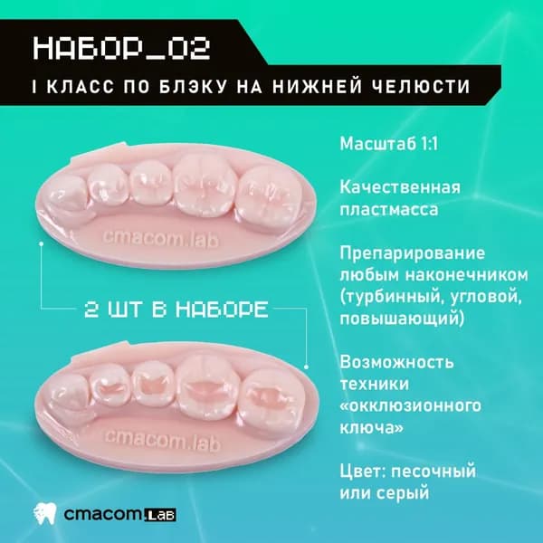 Набор#2 Модели для реставрации зубов/2 штуки/4 зуба/ тренировочные модели