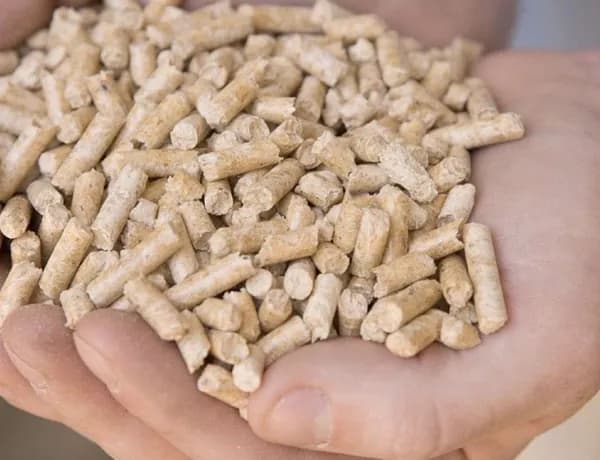 Наполнитель Древесный Впитывающий Хвойный 2000г.