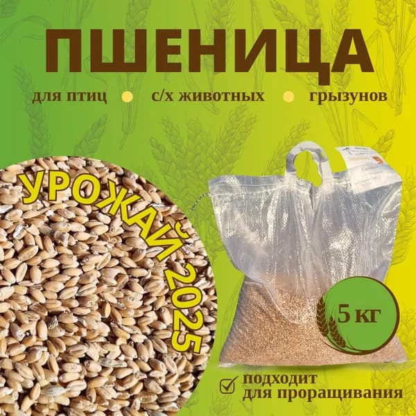 Пшеница 5кг.
