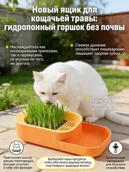 Лакомство для кошек — семена травы для проращивания