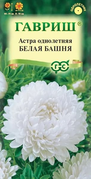 Семена Астра Белая башня 0,3 г Гавриш