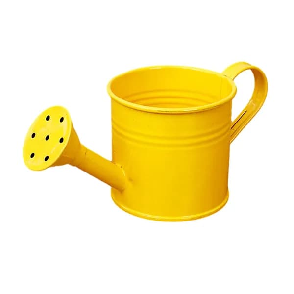 Лейка 1 шт