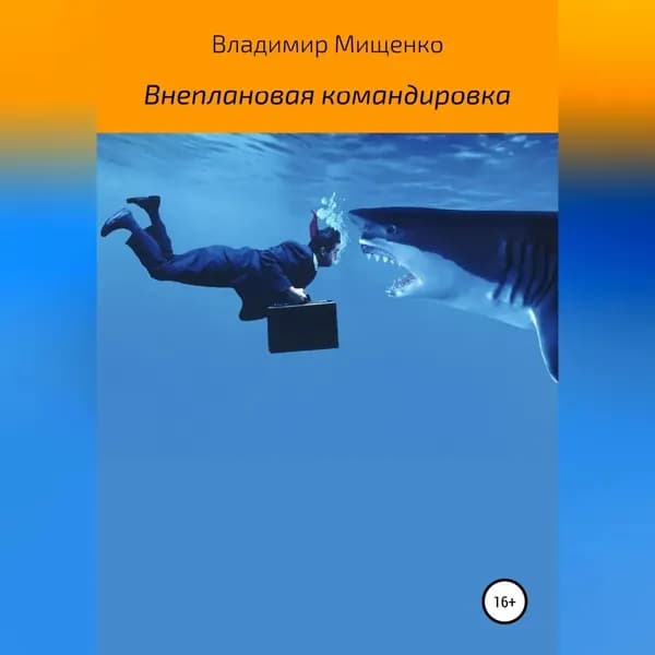 Внеплановая командировка | Мищенко владимир | Электронная аудиокнига