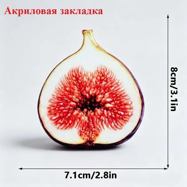 Закладка