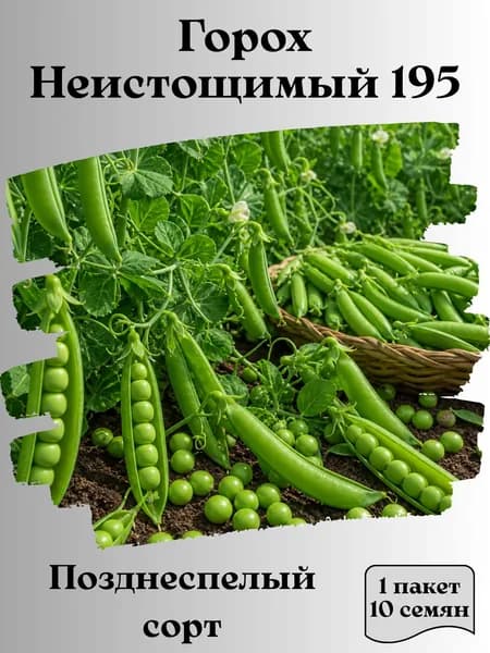 Горох Неистощимый 195, семена, 10 шт.