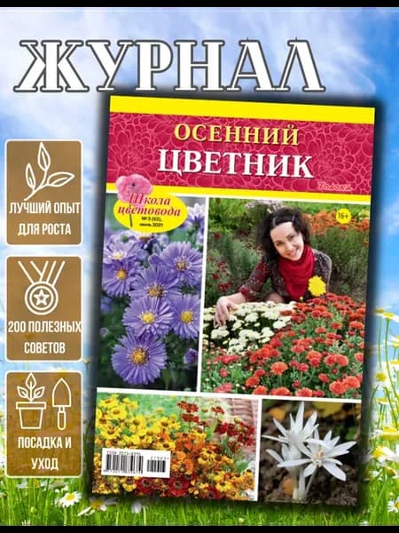 Школа Цветовода. Красивые цветы. Осенний сад