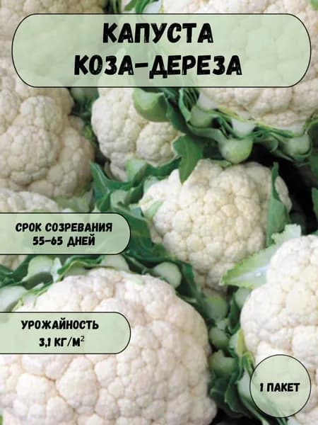 Капуста цветная Коза-дереза семена 10 шт