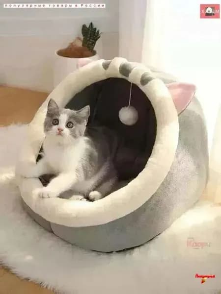 Домик для животных