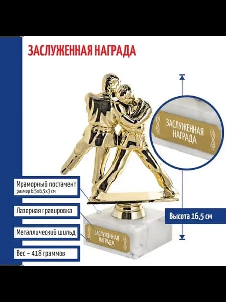 Статуэтка Дзюдо "Заслуженная награда" (16 5 см)