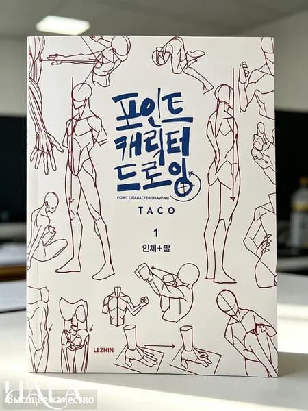 Учебник по анатомии человека для рисования, пособие по рисунку персонажей TACO