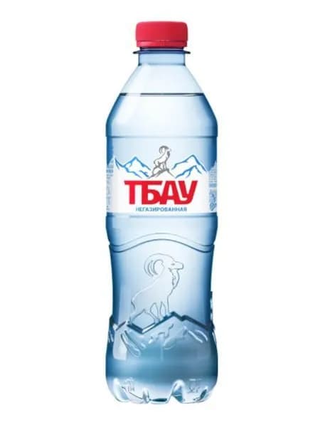 Вода питьевая природная Тбау 12 шт по 0,5 л без газа ПЭТ