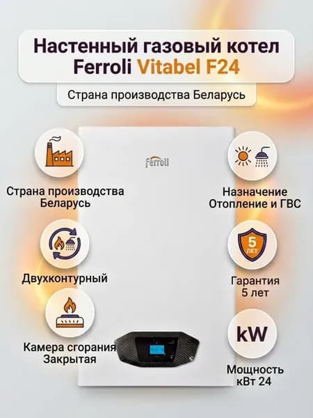 Газовый котел Vitabel F24