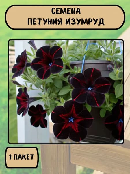 Петуния Изумруд, семена 10 шт