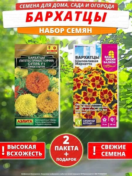 Семена бархатцы для дома сада посадки