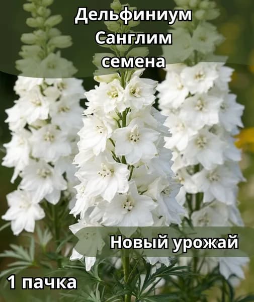 Дельфиниум Санглим, семена 10шт