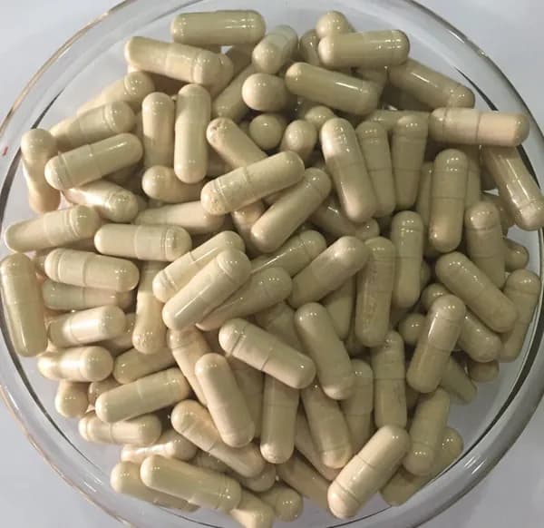 Розмариновая кислота 5% (Rosmarinic Acid 5%), Белая капсула 450 мг*100 гранулыDR.MENFTY