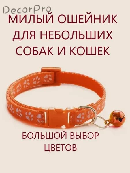 Ошейник для кошек и собак мелких пород с колокольчиком. Оранжевый.